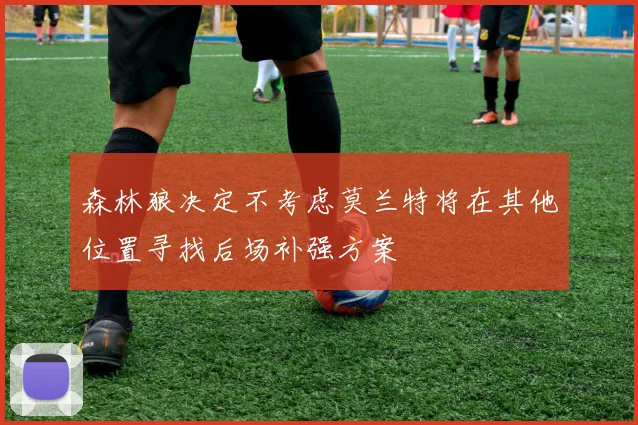 森林狼决定不考虑莫兰特将在其他位置寻找后场补强方案